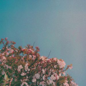 cos尾巴插件入体女
